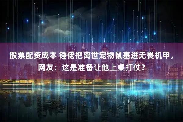 股票配资成本 锤佬把离世宠物鼠塞进无畏机甲，网友：这是准备让他上桌打仗？